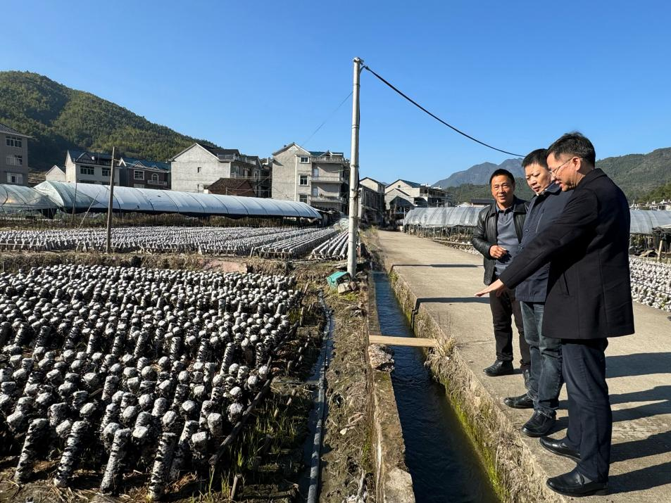 暖心慰问下派干部 聚势助力共同富裕  浙江金控赴龙泉市八都镇走访慰问下派干部1 (2).png